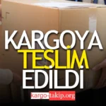 Kargoya Teslim Edildi Ne Demek