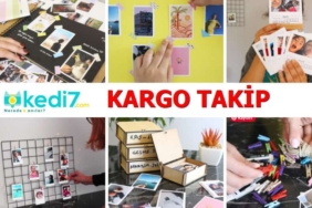 Kedi7 Kargo Takip