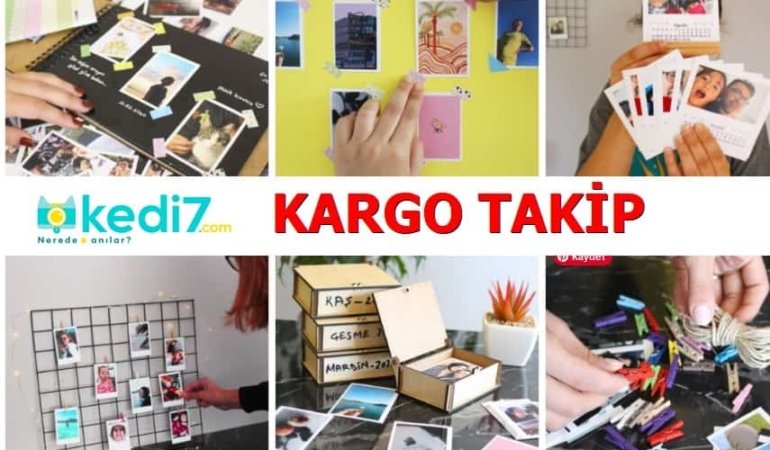 Kedi7 Kargo Takip