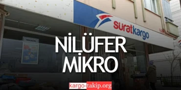 Sürat Kargo Nilüfer Mikro