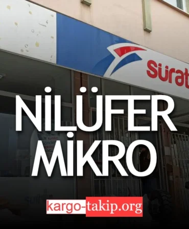 Sürat Kargo Nilüfer Mikro