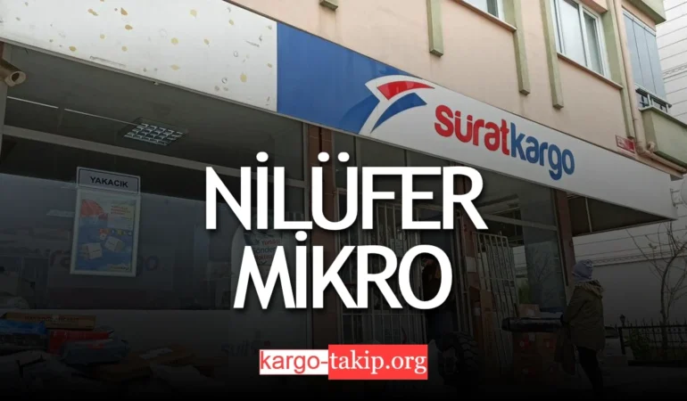 Sürat Kargo Nilüfer Mikro