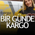 Bir Günde Kargo İletişim